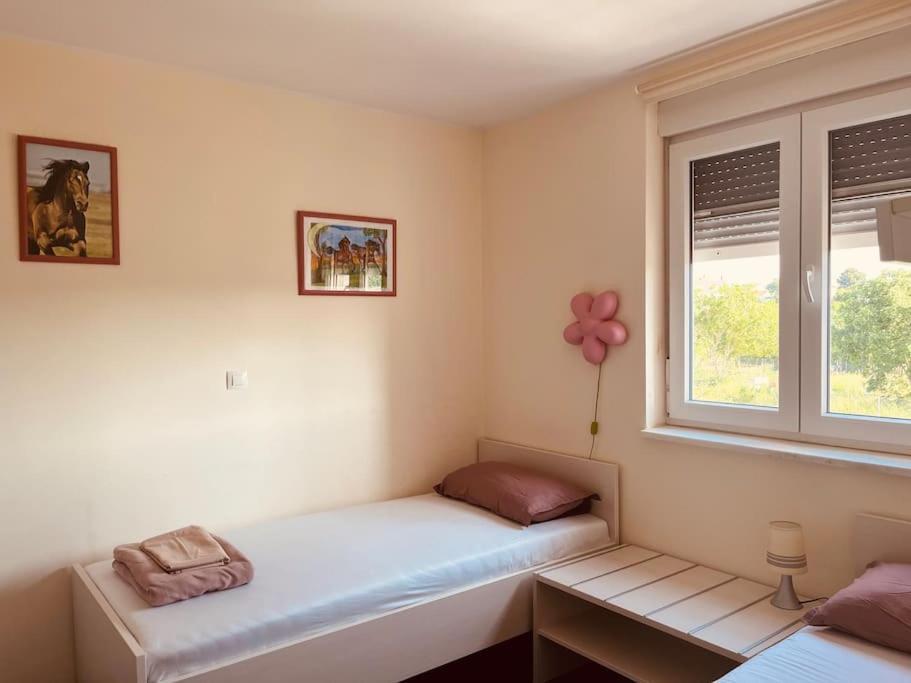 Mima Apartment Pula Bagian luar foto